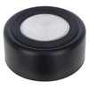 Kerbl Pet Golden Stainless Steel Bowl for Dogs and Cats,