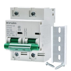KERWINN Miniature Circuit Breaker 500V DC Circuit Breaker 2Pole 100Amp Smart Circuit Breaker DIN Rail Mount for Marine Power Systems,Solar photovoltaic Systems(C100A)