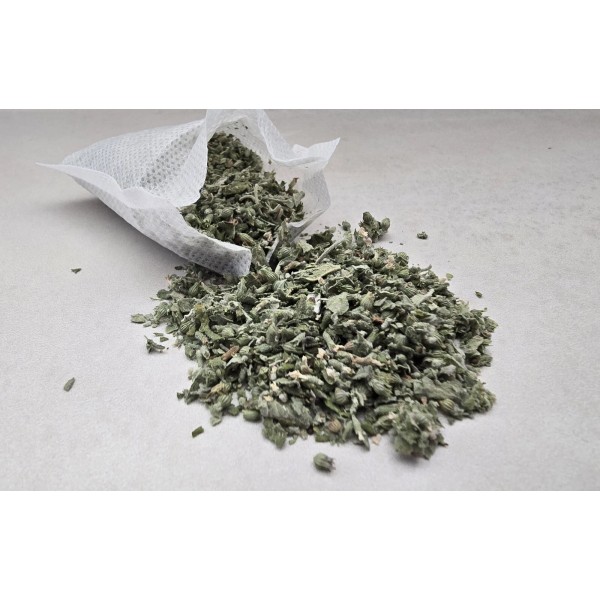 4theluvofdog Fresh California grown Premium Catnip 2oz - bag "FREE