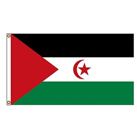 PinkDisplay Africa flag (Western Sahara)3x5ft(90x150cm) eyelets and double stitches