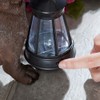 Bits and Pieces - Dog Solar Lantern Statue - Solar