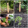 Bothyi Wooden Seed Dibber with Measurement Handheld Save Time Ergonomic