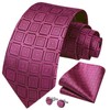 HISDERN Men's Ties Classic Pink Tie Plaid Necktie Handkerchief and