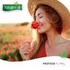 Nature's Life - Aceite de Semilla de Linaza Omega 3