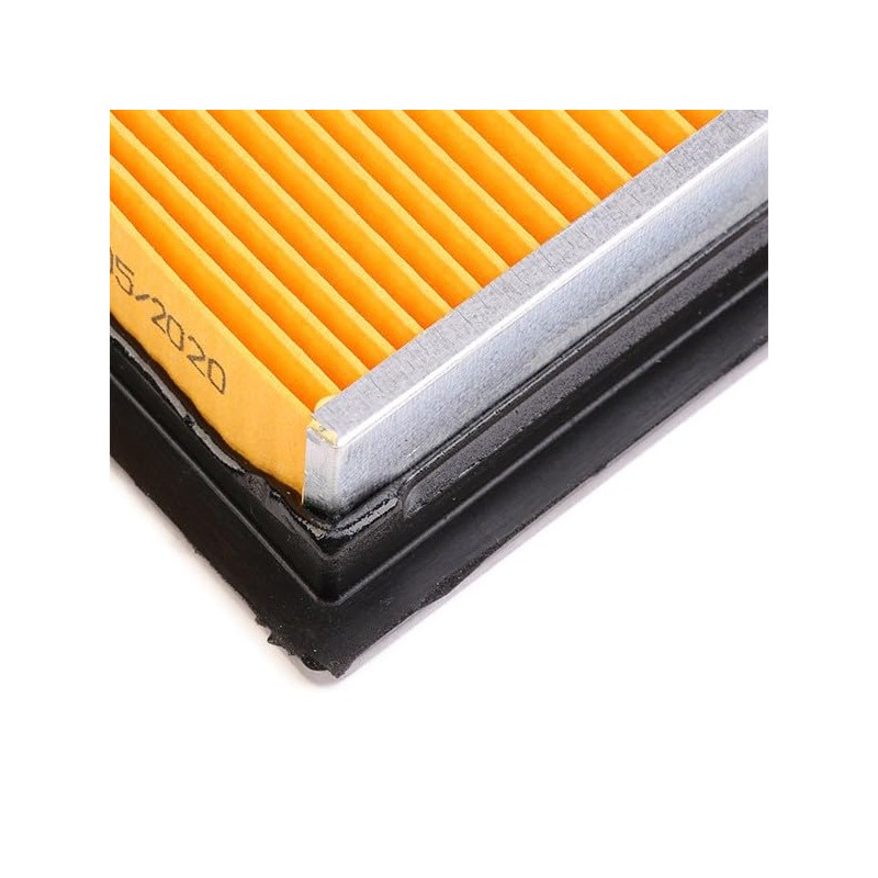 Ashika 20-01-134 Air Filter