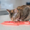 Petstages Fishie Fun Feed Mat - Comedero Lento para Gatos