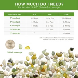 NUPICK NUPICK 3 lbs Pebbles for Indoor Plants, 3/8 Inch Pea Gravel for Fish Tank, Polished Decorative Rocks for Succulent, Natural River Stones for Vases, Cactus, Landscaping, Bird Bath, Aquarium, Jade