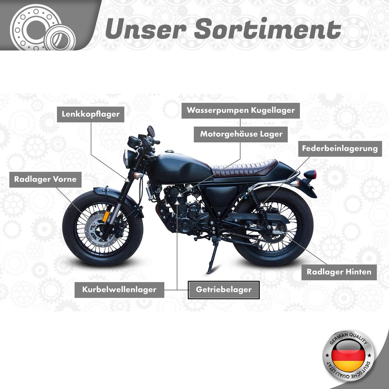 Parts and Parts Gear Bearing Compatible with Piaggio Free NRG