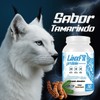 Bcaas Glutamina Linx Fit 1kg 50 Servicios Varios Sabores