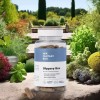 1/2/3 Pack Slippery Box Slippery Elm Bark Caps for Vaginal