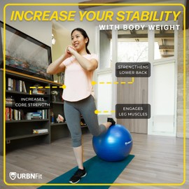 URBNFit Exercise Ball - Yoga Ball for Workout, Pilates, Pregnancy, Stability - Swiss Balance Ball w/Pump - Fitness Ball Chair for Office, Home Gym, Labor- Silver, 26 in