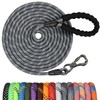 NTR Long Dog Leash, 20FT Check Cord with Swivel Lockable Hook and Comfortable Padded Handle for Reflective Dog Leash for Small Medium and Large Dogs Walking Training Hiking Camping Playing Grey