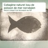 AniForte Marine Collagen Joint Powder for Dogs CollaMove 450g -
