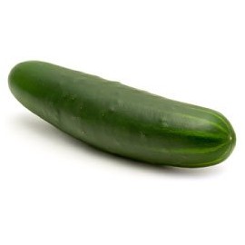 Cucumber Marketer Great Heirloom Vegetable by Seed Kingdom BULK 1 OZ Seeds