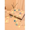 FLCSIed 6.56Ft 20 led 3AA Battery Powered Globe Lights with