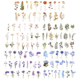 Giantree 200 Pcs Pressed Flower Themed Stickers, Vintage Dried Floral Botanical Journaling Stickers Transparent Flower Stickers for Adult Scrapbook Supplies Bullet Junk Journal Bottles Planner Laptop