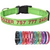 Collar de Perro Nylon Reflectante con Nombre Personalizado Collar Perro
