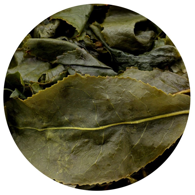 GOARTEA Taiwan Oolong Tea Loose Leaf Dong Ding Oolong Tea