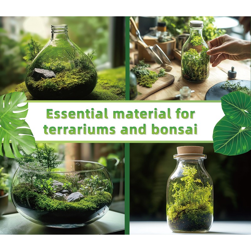 LUCKY PLANT Moss Terrarium Beding Live Moss Terrarium Moss Composite