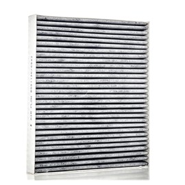 RIDEX Cabin Air Filter 424I0006 Polo (9N_) Polo Hatchback (6R1, 6C1) 252 mm 216 mm