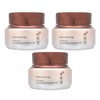 The Face Shop Yehwadam Cheonsamsongi Jaseng Eye Cream 25ml (3