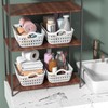 Tyminin Plastic Storage Baskets with Handles, Set of 12 Mini