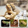 MCLANZOO G9 Heat Lamp Bulbs for Reptiles 25W 4 Pack,Mini