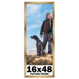 16x48 Frame Gold Bronze Picture Frame - Modern Photo Frame Includes UV Acrylic Shatter Guard Front, Acid Free Foam Backing Board, Hanging Hardware Wood Wall Frames for Family Photos - no Mat