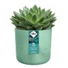 elho The Ocean Collection Round 16cm - Flower Pot Indoor