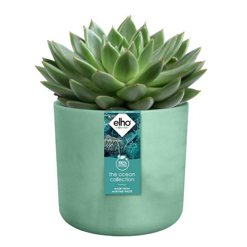 elho The Ocean Collection Round 16cm - Flower Pot Indoor
