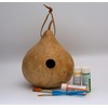 Gourd Birdhouse, Unfinished, Create Your Own Birdhouse
