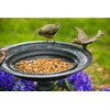 Evergreen Hummingbird Metal Bird Bath Bowl with Stand - Heavy