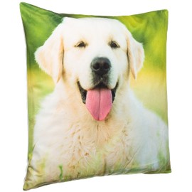 Brandsseller Decorative Cushion with Animal Motif 40 x 40 cm (40 x 40 cm, Golden Retriever Motif 2)