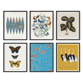 HAUS AND HUES Eclectic Wall Art – Set of 6 Vintage Butterfly Prints, Botanical Gallery Wall Decor, Aesthetic Artwork for Bedroom, Living Room, Office (Black Frame, 8x10)