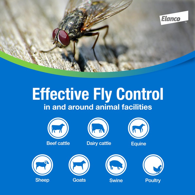 Elanco QuickBayt Fly Bait | Fast-Acting Nuisance Fly Insecticide |
