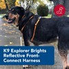 Coastal - K-9 Explorer - Brights Reflective Front-Connect Harness, Desert,