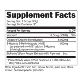 HMB Transparent Labs Creatine Monohydrate HMB Powder Muscle Strength Blue Raspberry