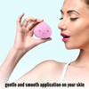 Profusion Cosmetics 2pc Sponge Kit Blender Buddy for Liquid and