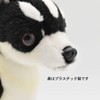 BH6367 HANSA チワワ27
