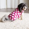 Wouapy 90095 Dog Pet Coat, Bubble Pink, X-Small