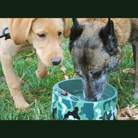 Petfactors Heated Pet Water Bowl, Outdoor Thermal Dog Cat Bowl with 69 Inch Chew Resistant Cord and Waterproof ON/Off Switch