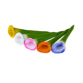 5 PCS Flower Bee Watering Station for Garden Porcelain, Bee and Butterfly Feeder Drinking Cups Flower-Shaped Bee Water Station (Morning Glory)