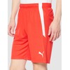 Puma 705151 Men's Soccer Half Pants, TEAMLIGA Game Pants, 24