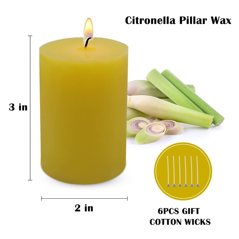 12 Pack 2x3 Inch Citronella Pillar Candles for Outdoor Indoor,