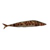 Speed Mao Realistic Lifelike Sanma Grilled Fish Food Sample Food