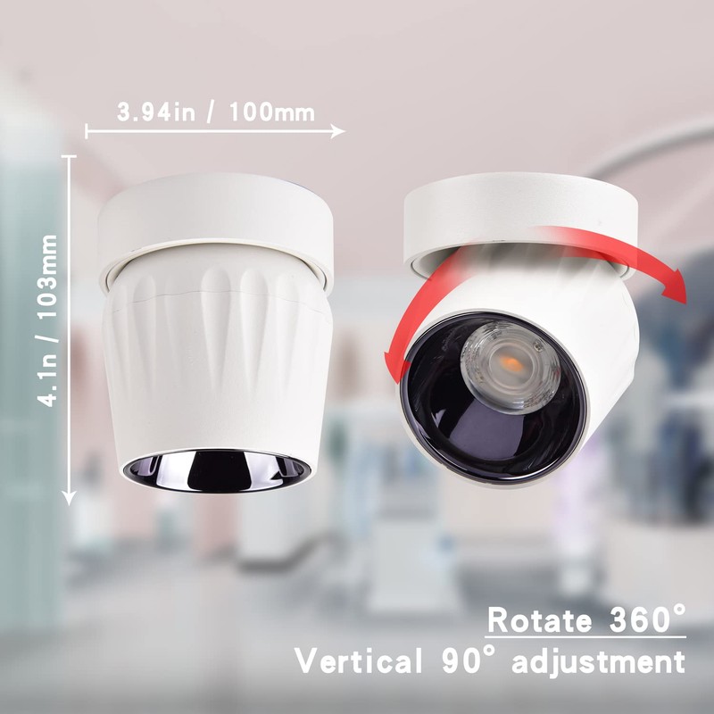 Vrnzau LED Ceiling Spotlight 12W - Directional Spot Light 360°