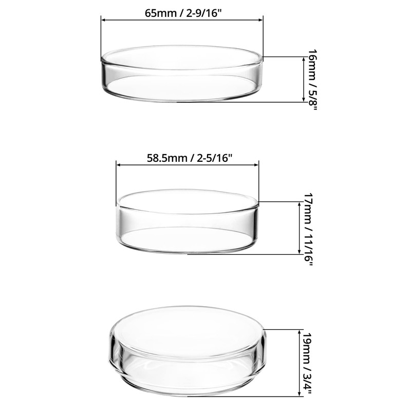 QWORK Glass Petri Dish Petri Plates with Lid, Thicken, 60mm