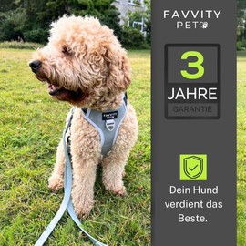FAVVITY PET Dog Harness for Small, Medium and Large Dogs - Padded [Reflective] Anti-Pull | The Harness for Your Dog (Size M, Grey)