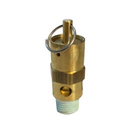 Sellerocity American Made Brass ASME Hard Seat Safety Valve 100 PSI 1/4 NPT, 89 CFM
