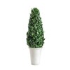 Creative Co-Op Boxwood Topiary in Clay Pot